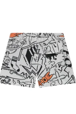 boxer mare multicolor