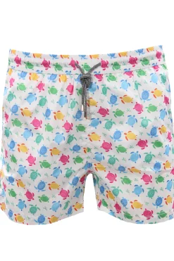 Boxer mare stampa