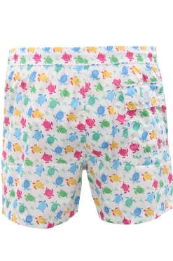 Boxer mare stampa