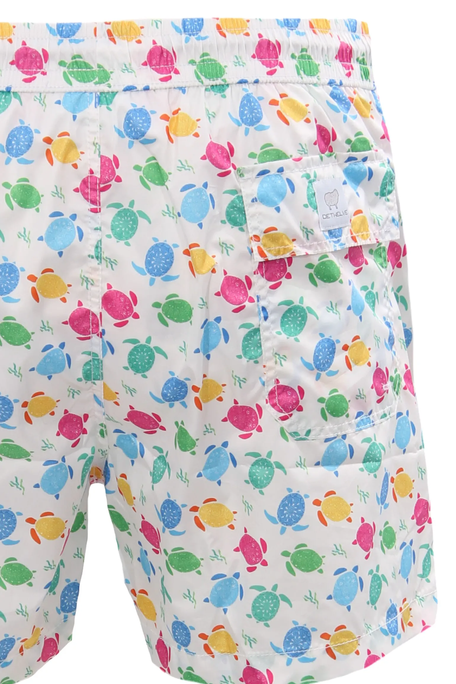 Boxer mare stampa