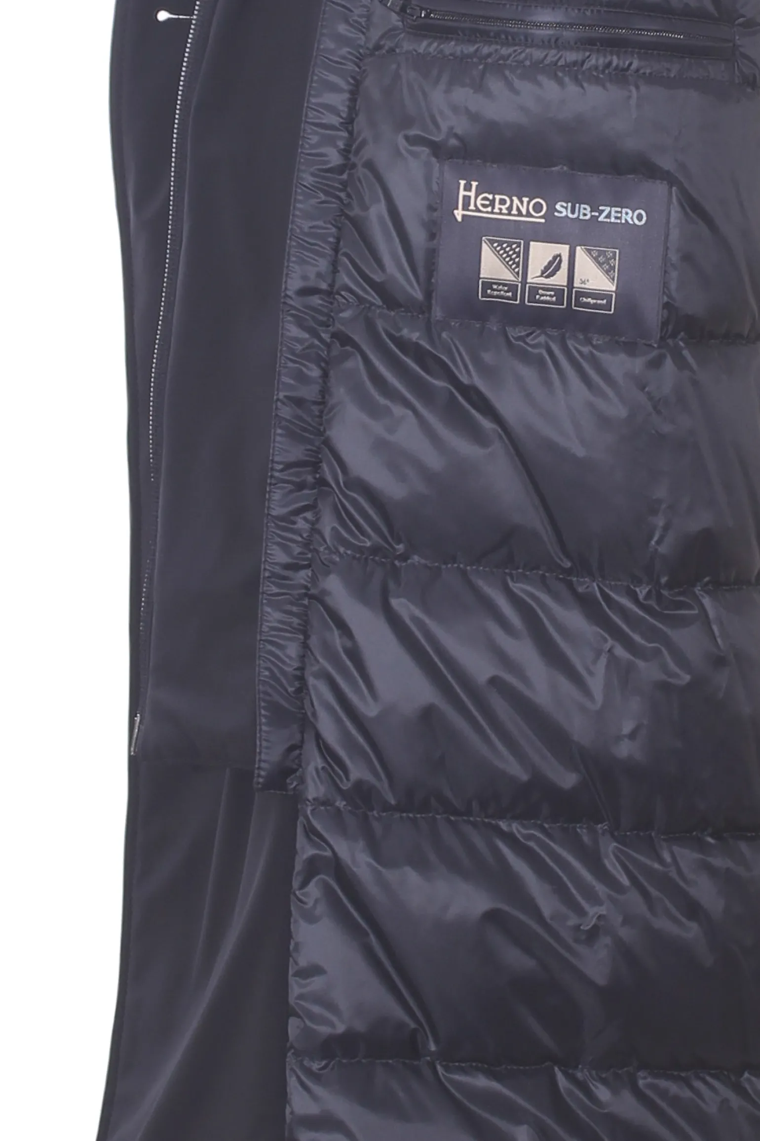 peacoat washington con pettorina