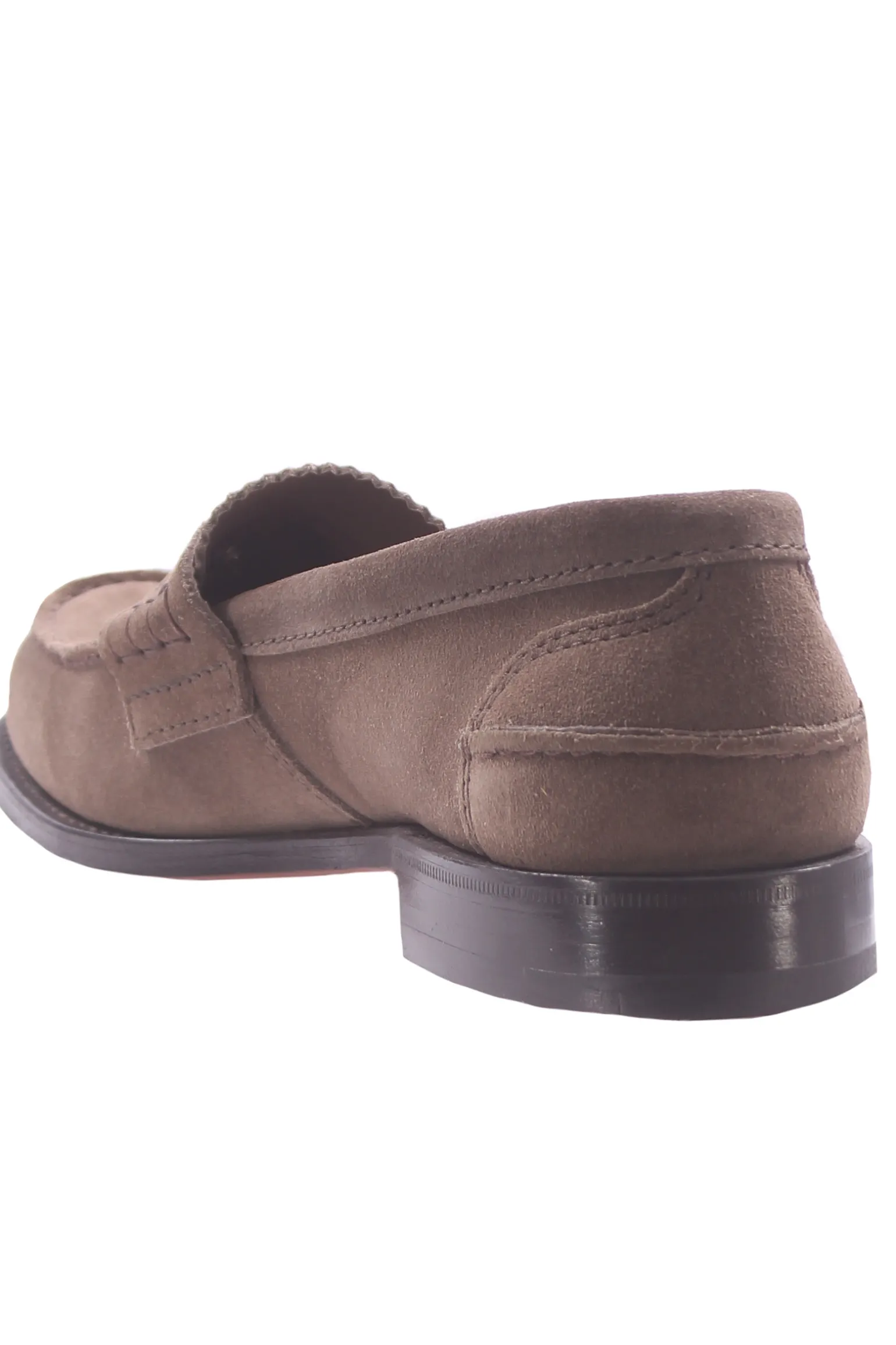 Pembrey castoro