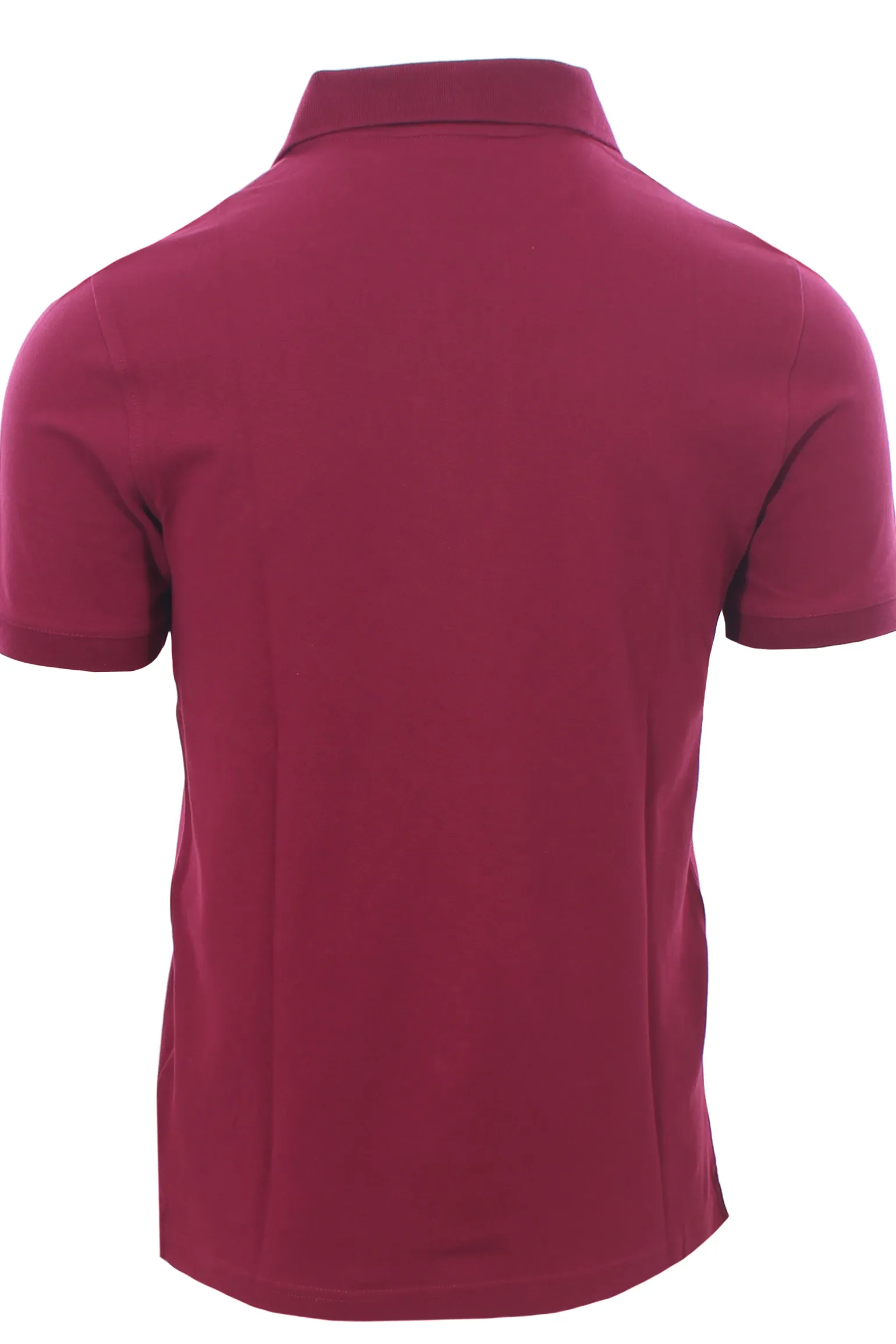 polo amedee piquet