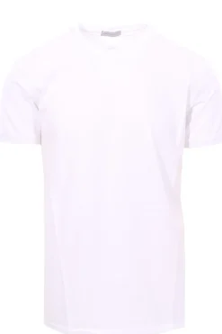 t-shirt in cotone
