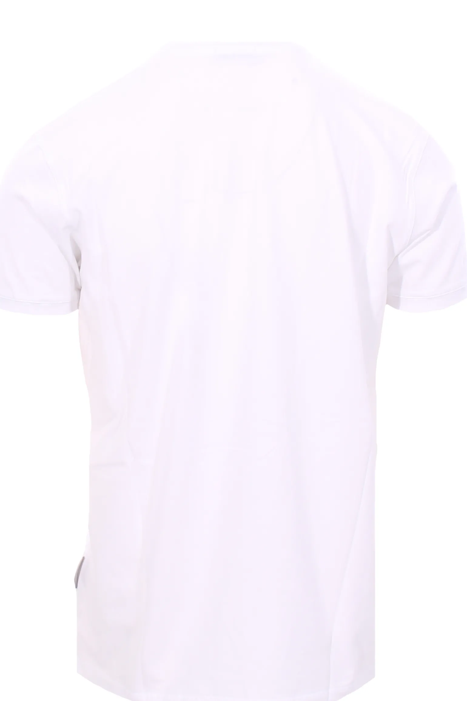 t-shirt in cotone