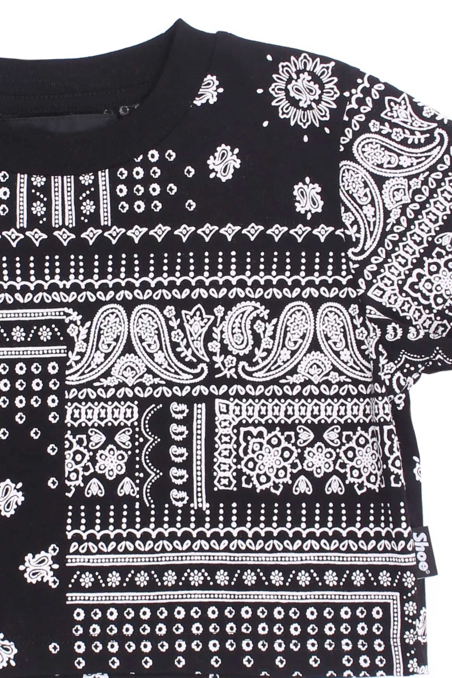 T-shirt in cotone