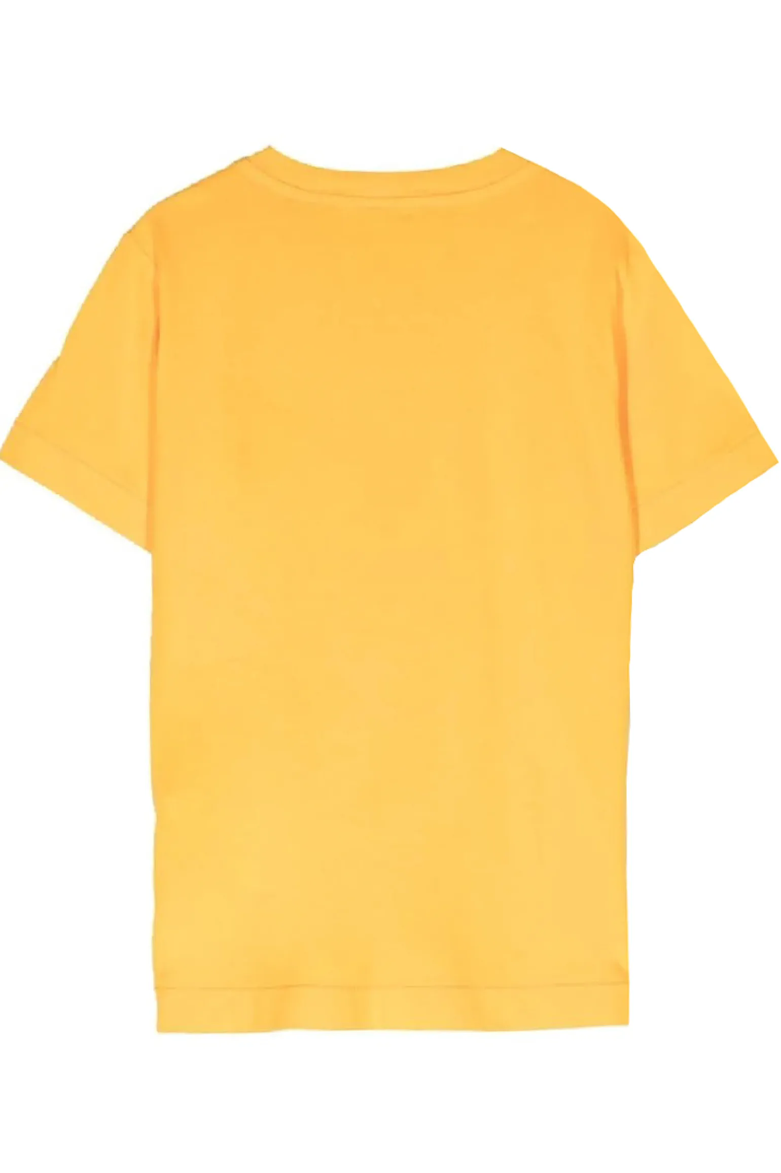 T-shirt in cotone